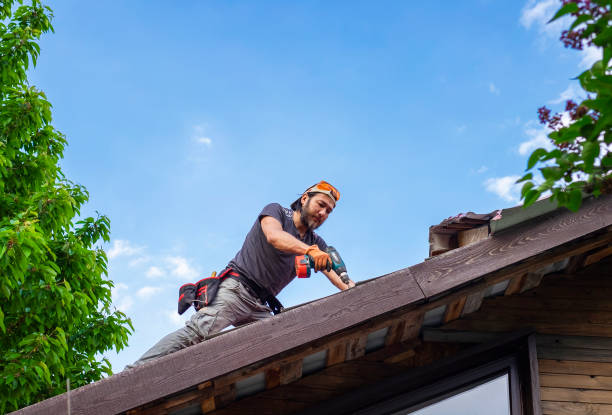 Professional  Roofing repair and installation in Metamora, IL